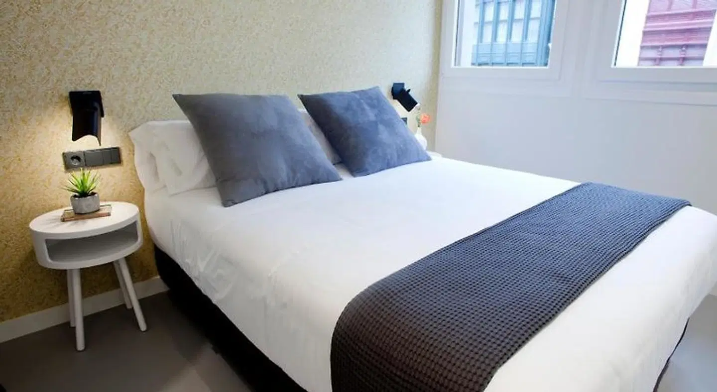 Bilbao Centric Apartments ROOM_EXAMPLE