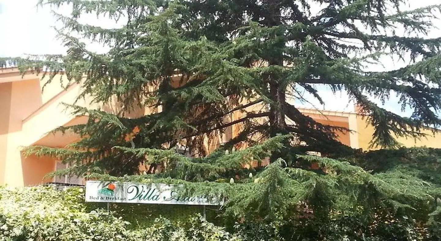 Villa Axa Garten