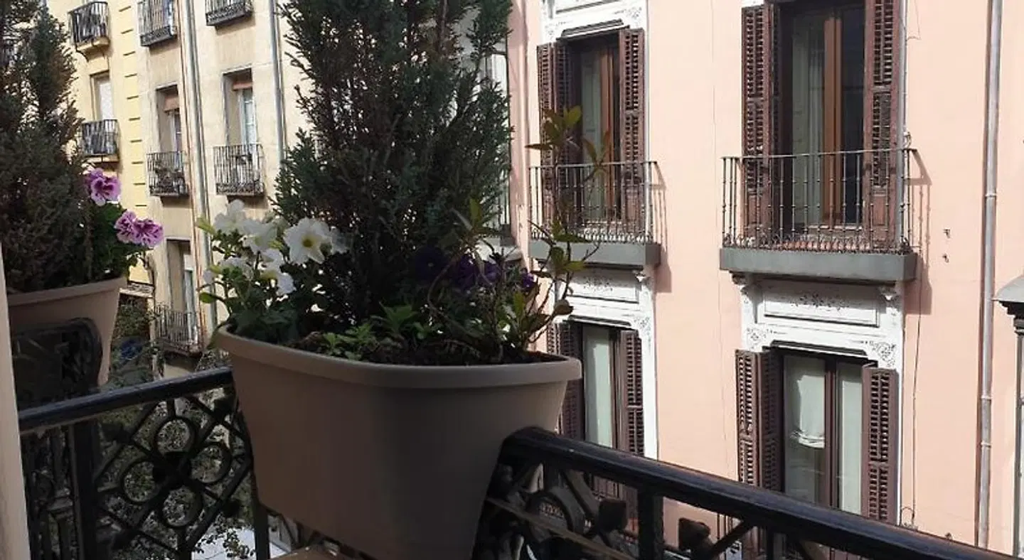 Hostal Las Fuentes Terrasse