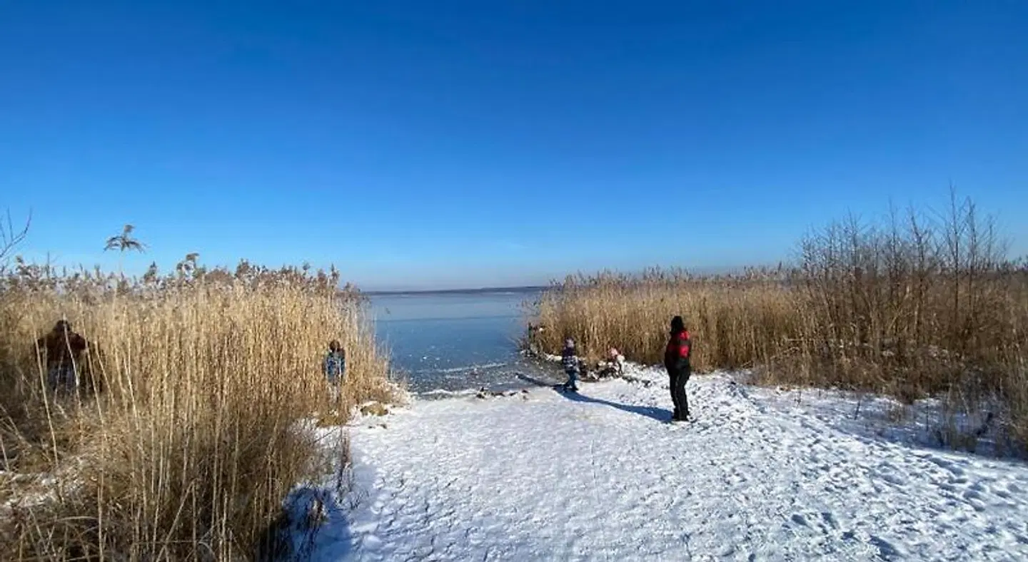 Wolfshotel am Arendsee Strand
