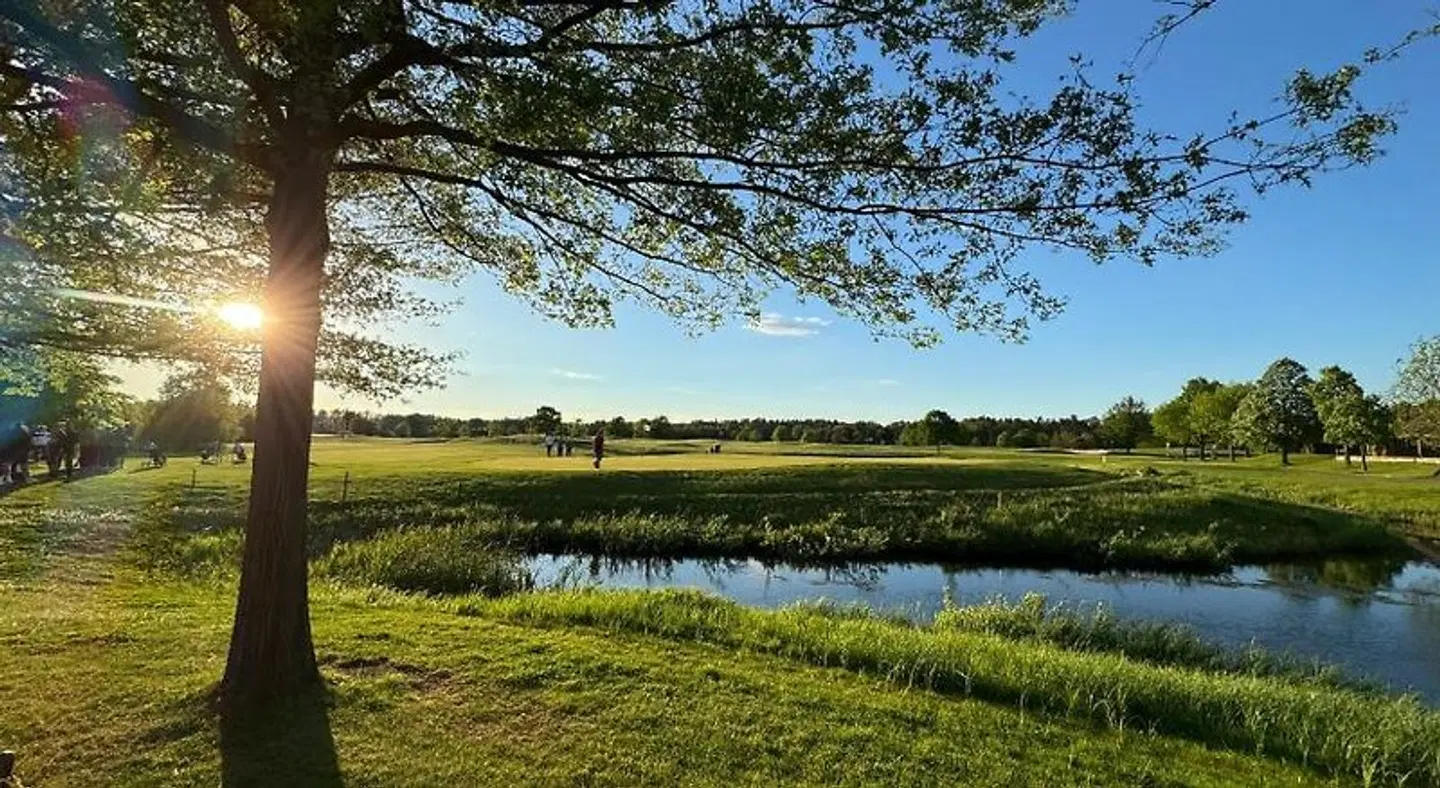 Zur Linde LANDSCAPE