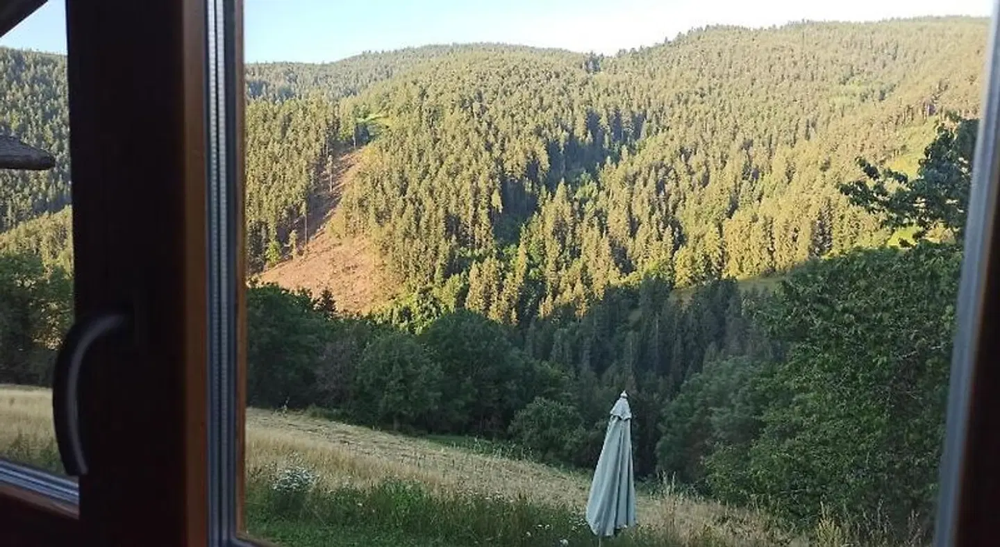 Burgerhof LANDSCAPE