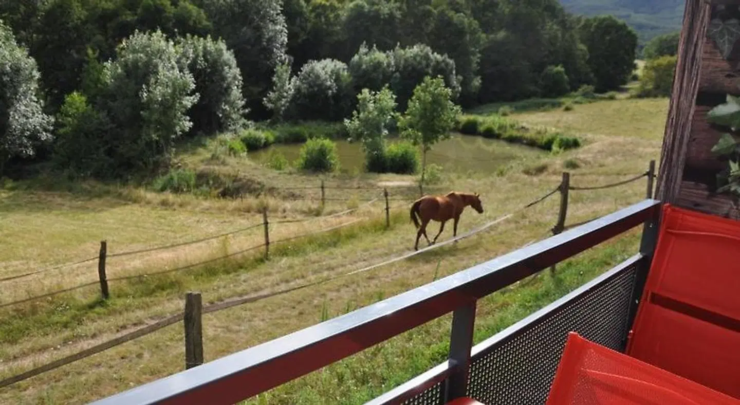 La Bergerie Tiere
