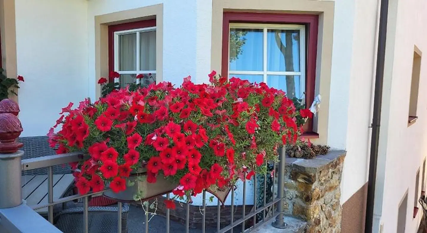 Hotel Garni Landhaus Trenkenbach Terrasse