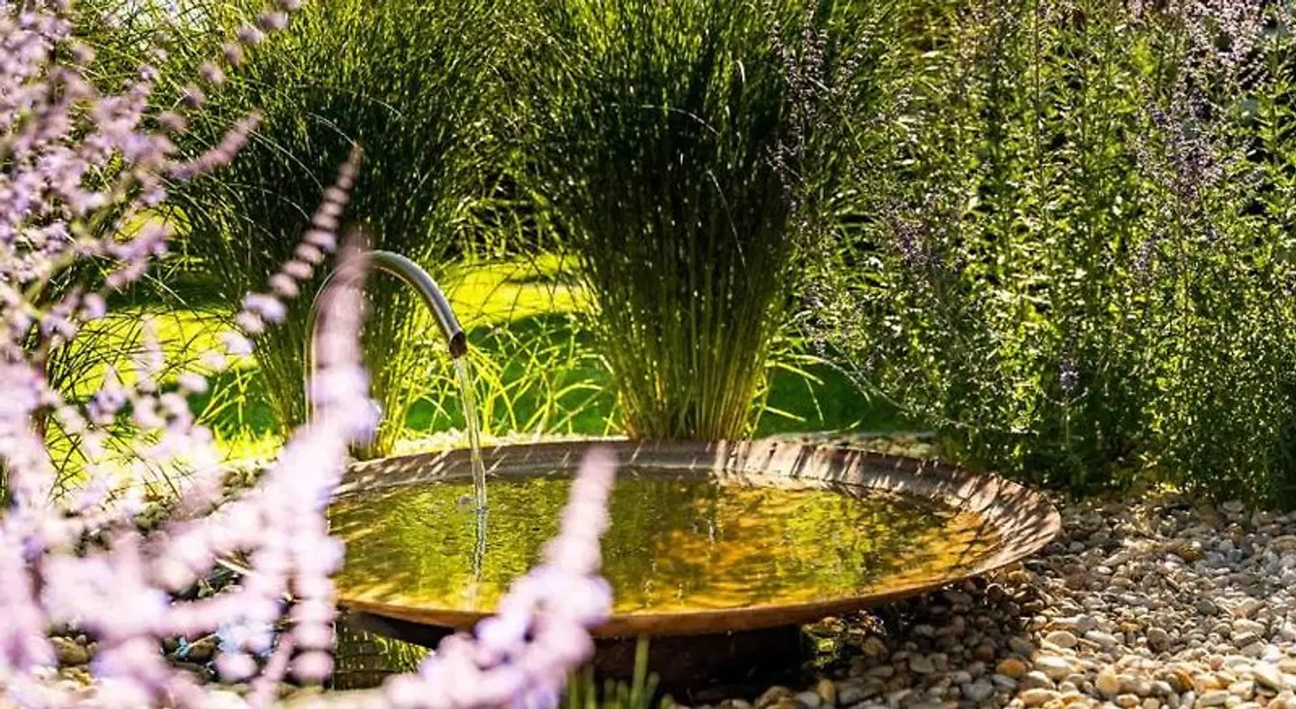 Hotel garni Steinfeld Tiere