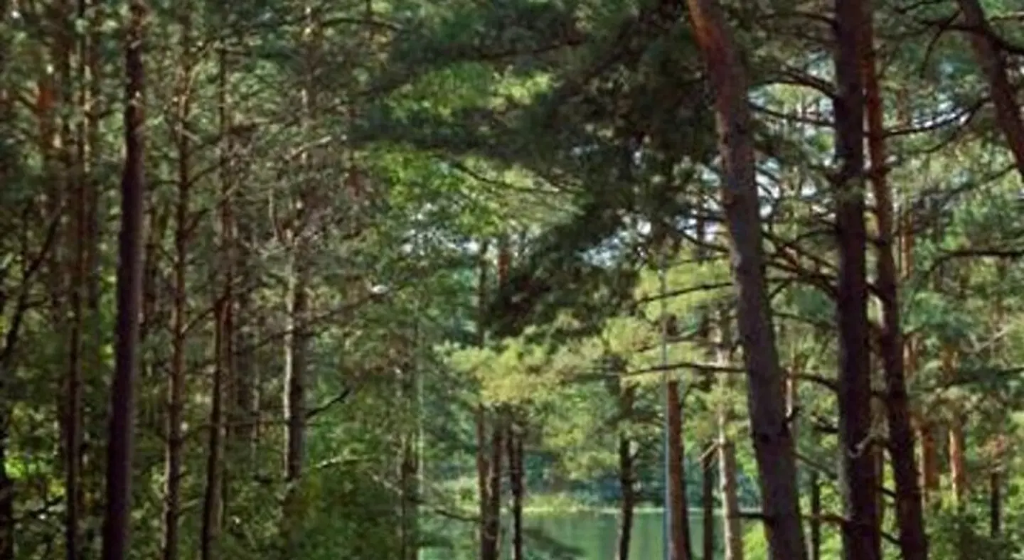 Vila Kelmyne LANDSCAPE