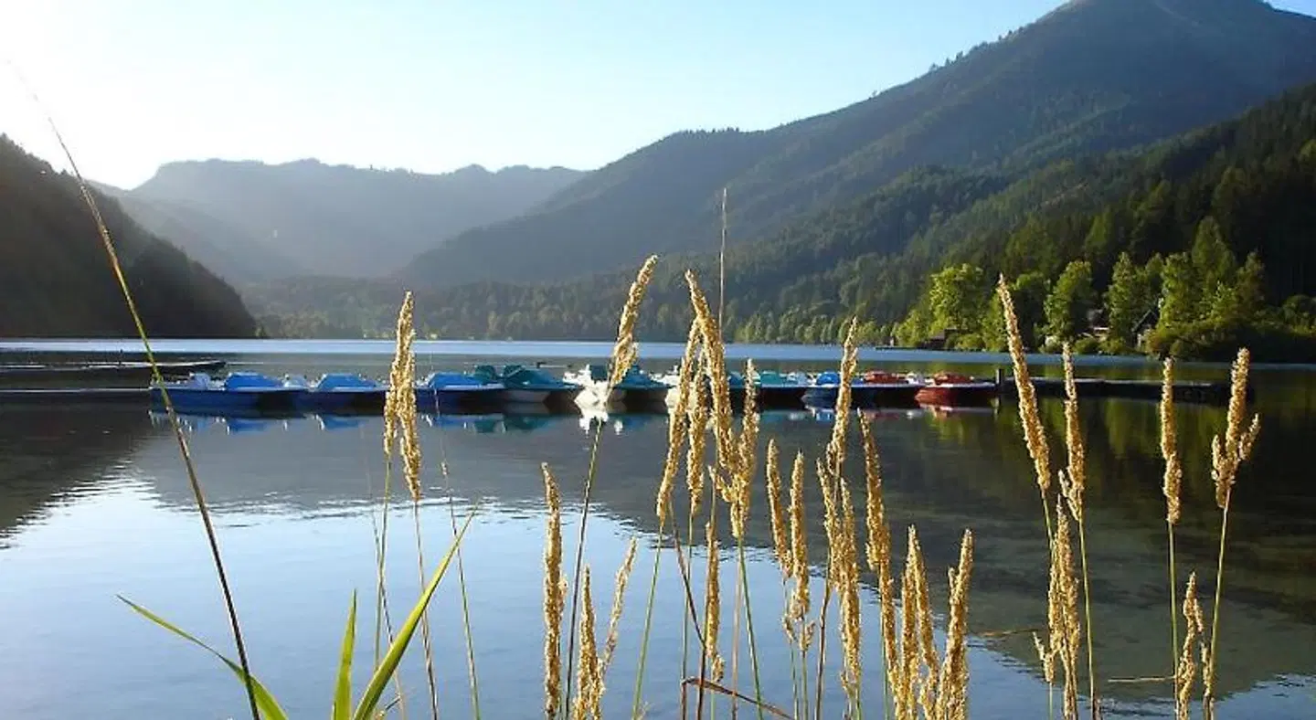 JUFA Hotel Erlaufsee Landschaft