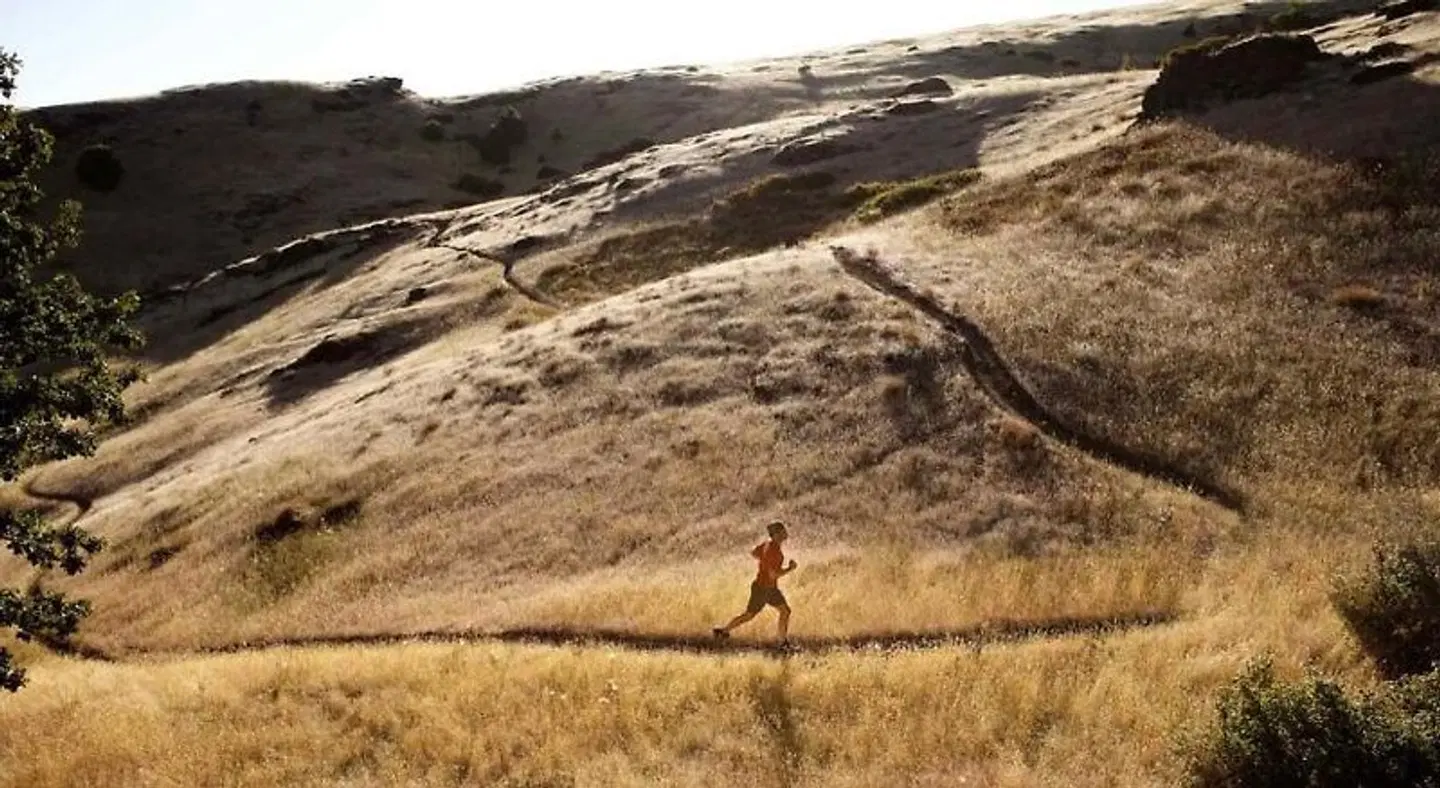 Inn of the White Salmon Landschaft