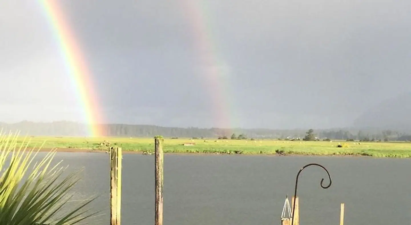 Wheeler on the Bay Lodge & Marina LANDSCAPE