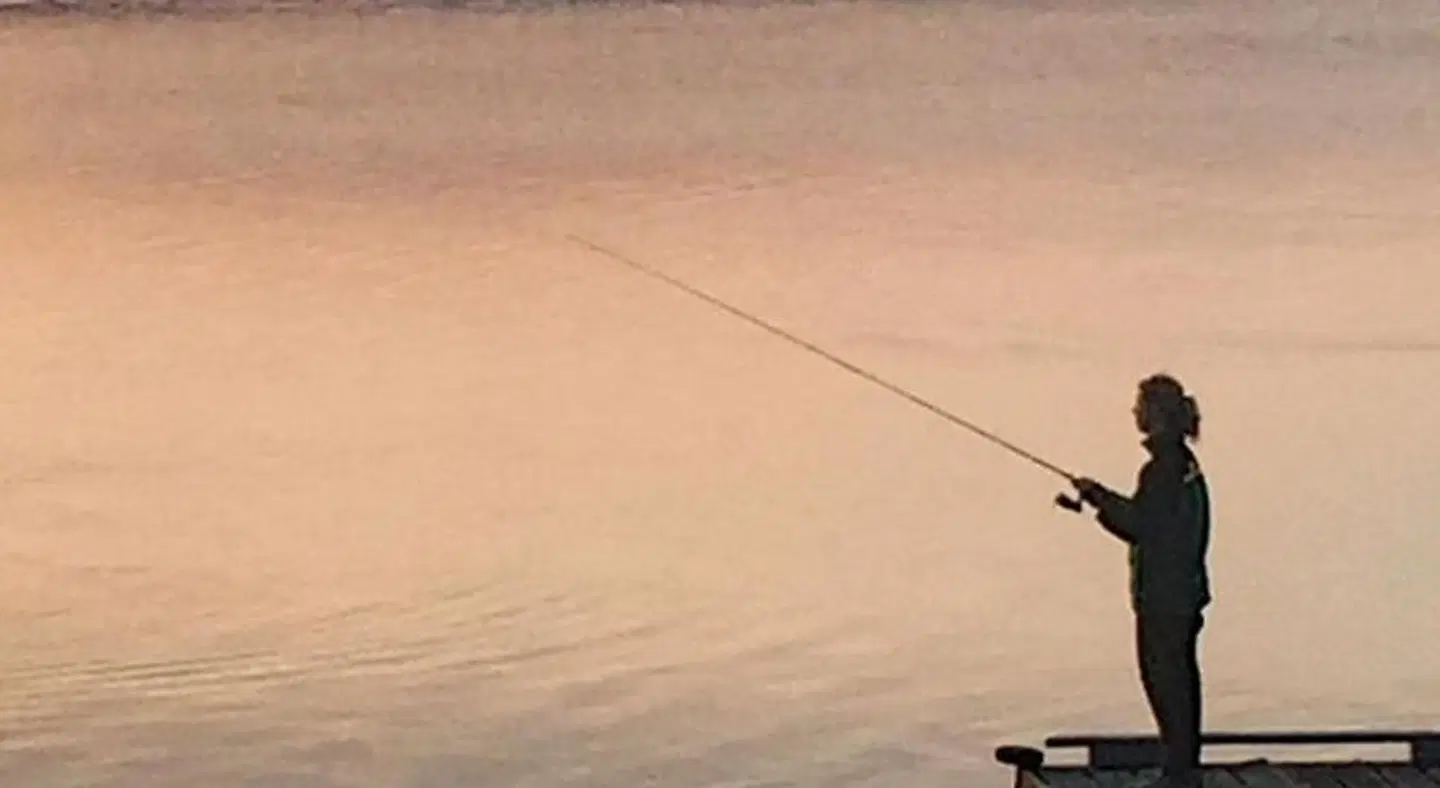 Wheeler on the Bay Lodge & Marina LANDSCAPE