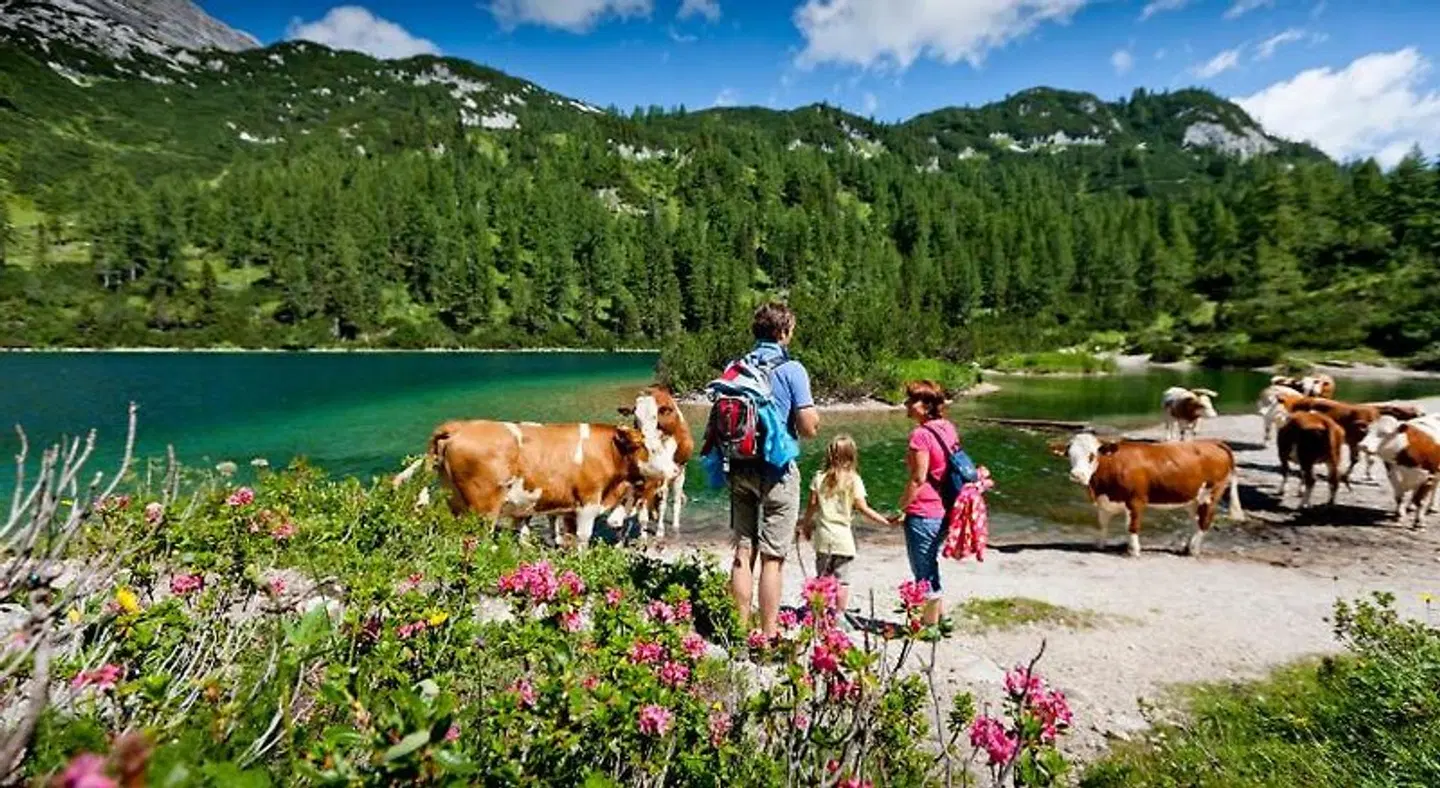 Der Hechl Landschaft