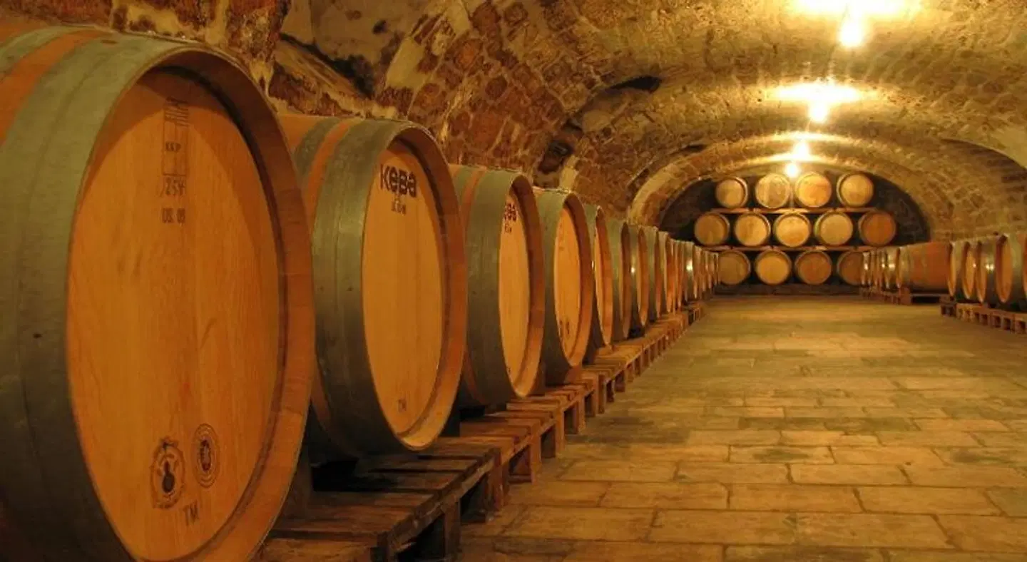 Zehntkeller Konferenz