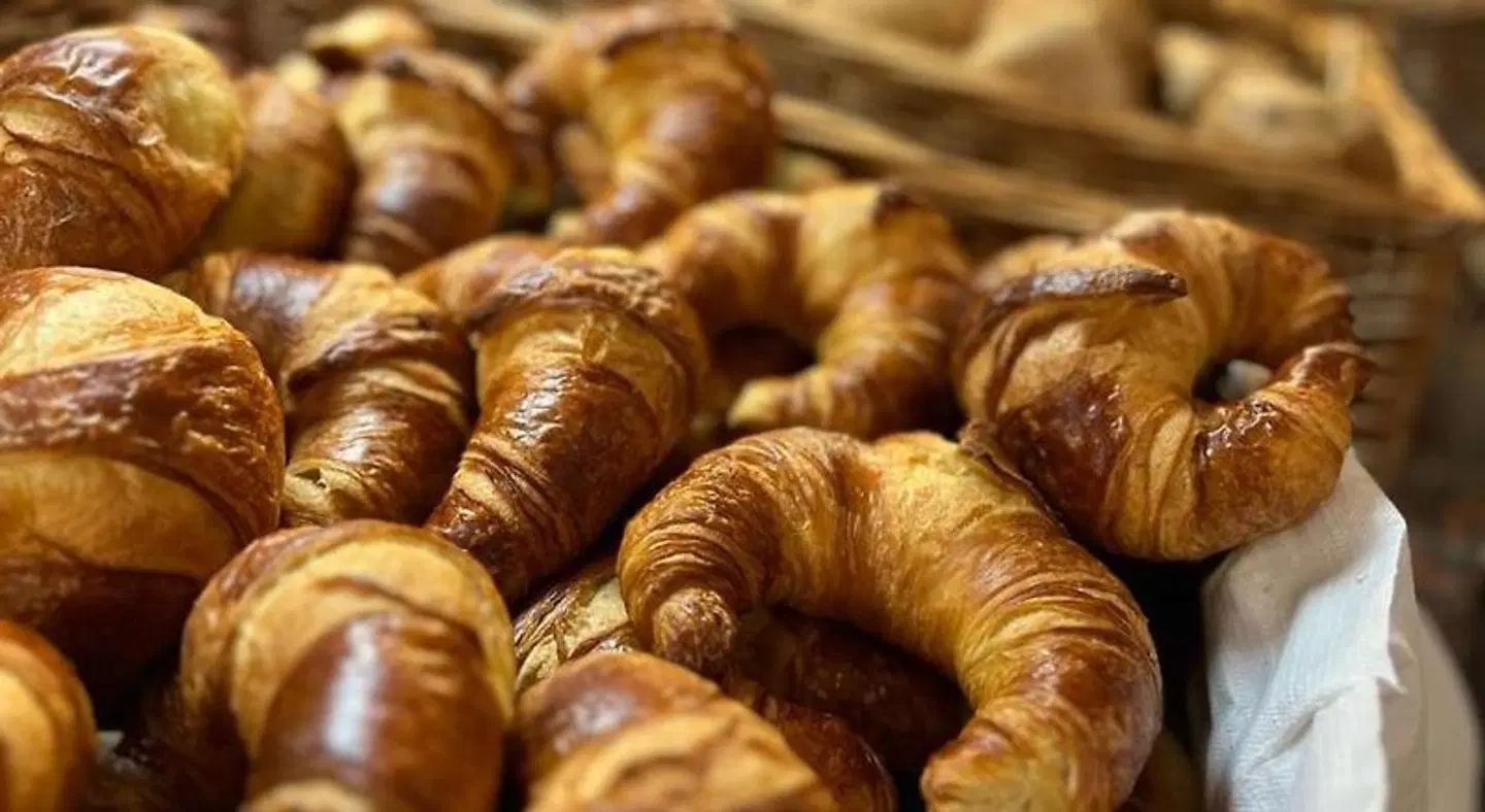 CARAT Hotel Grömitz Tiere