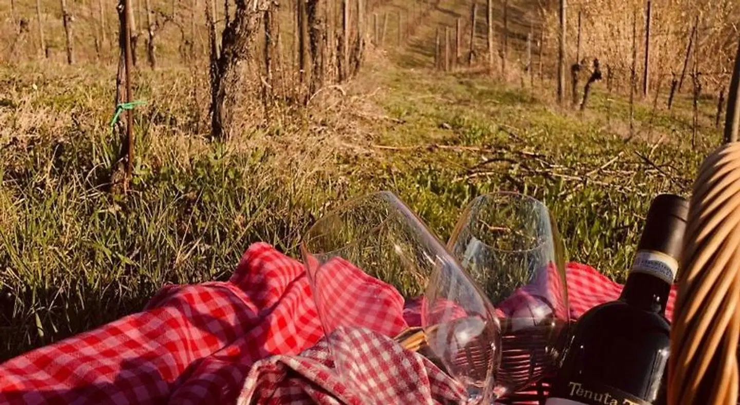 Tenuta Tenaglia LANDSCAPE