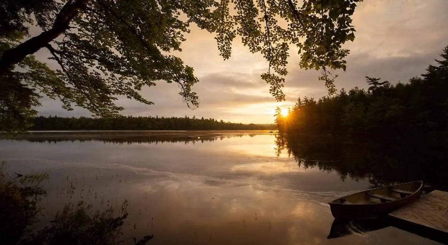 Mersey River Chalets & Nature Retreat LANDSCAPE