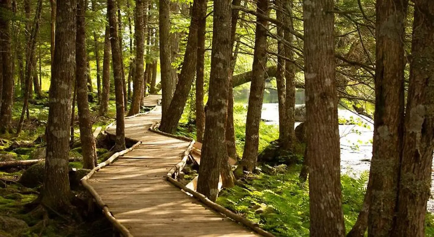 Mersey River Chalets & Nature Retreat LANDSCAPE
