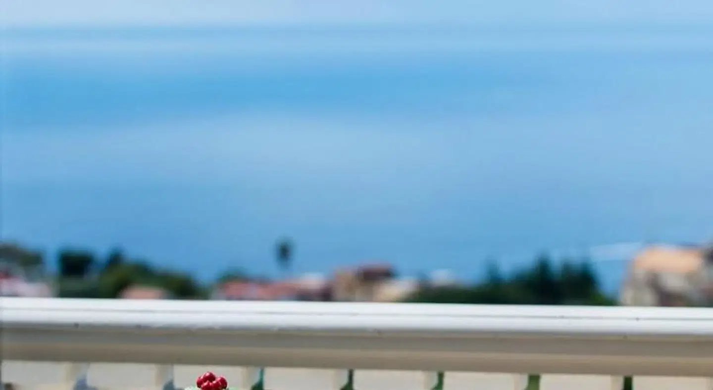 Agriturismo Fattoria Terranova Terrasse