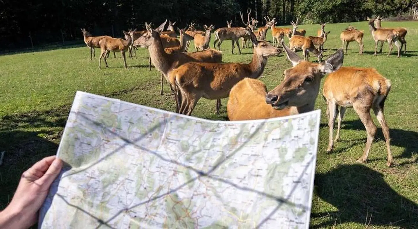 Höchsten Natur Erlebnis Hotel Tiere