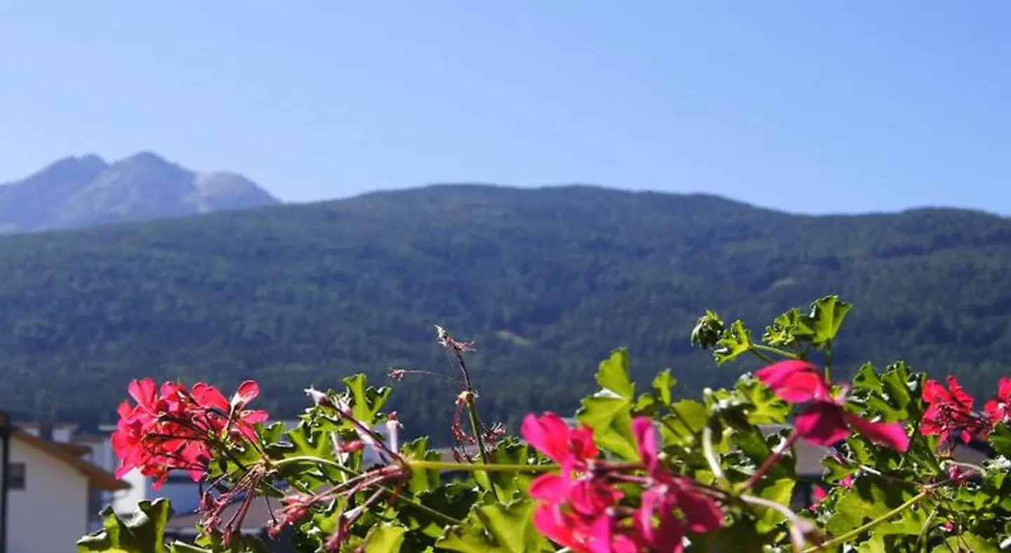 Hotel Famelì LANDSCAPE