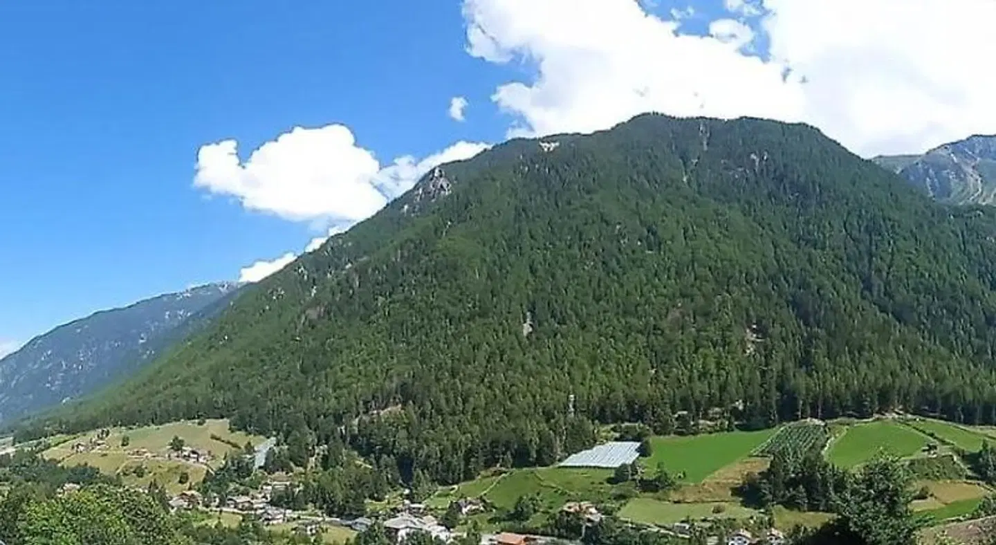 Residence Alpenrose LANDSCAPE