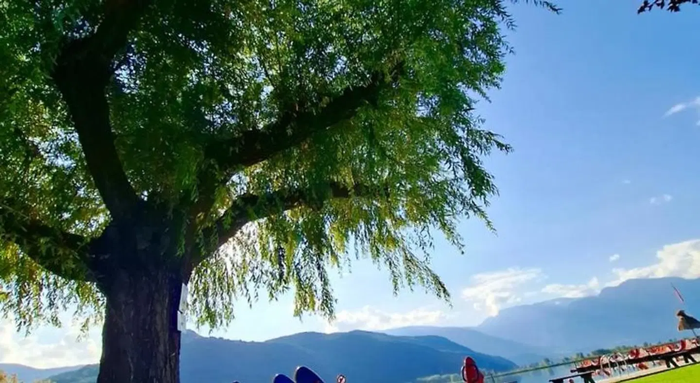 Seegarten LANDSCAPE