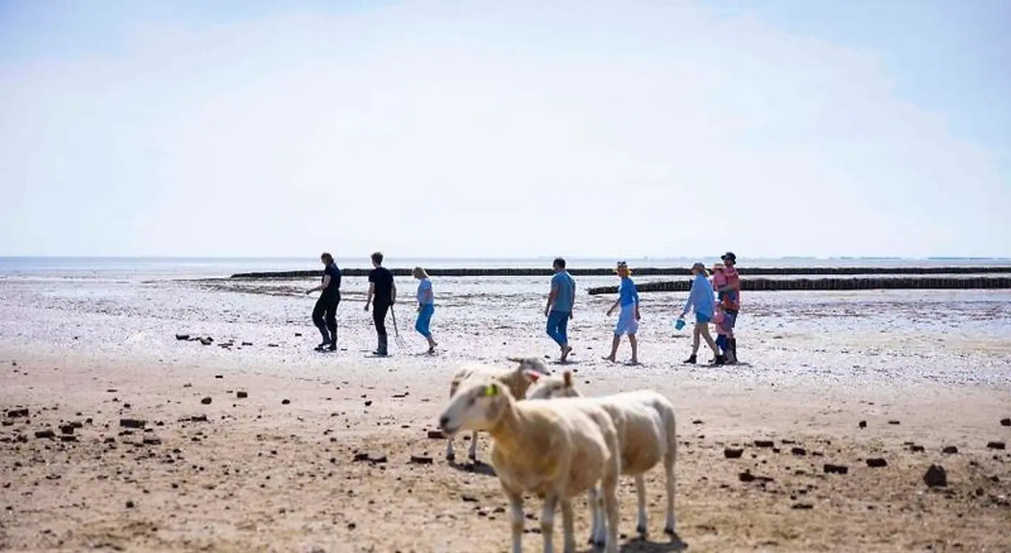 TUI BLUE Sylt Tiere
