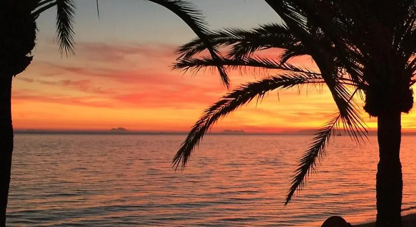 Skol Apartments Marbella Tiere
