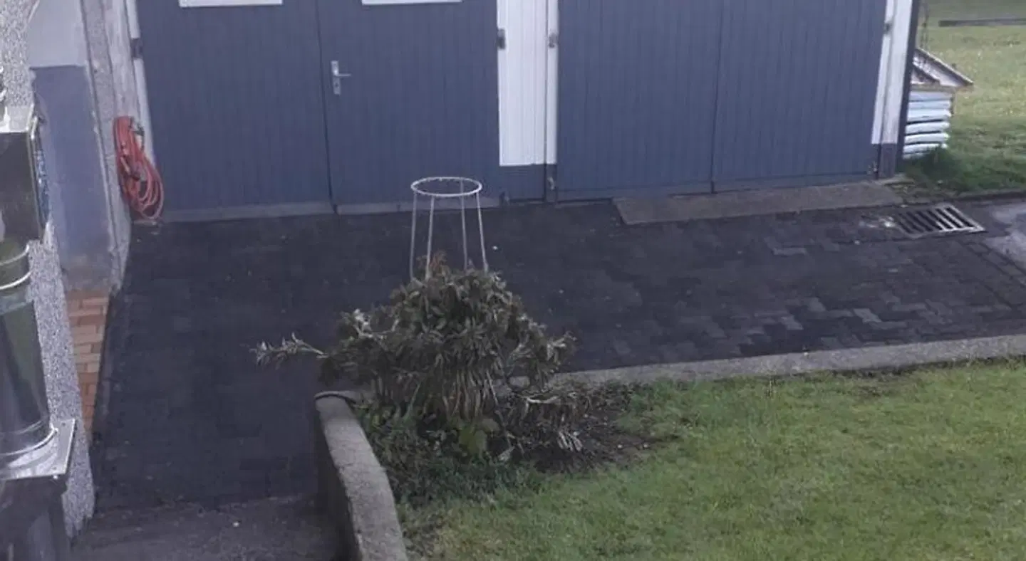 Sunrise B&B Hellenthal Tiere