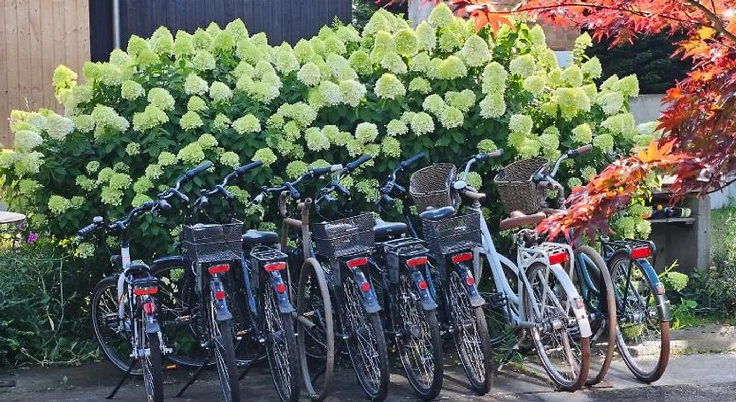 BluGarden Ferienapartments im Spreewald LANDSCAPE