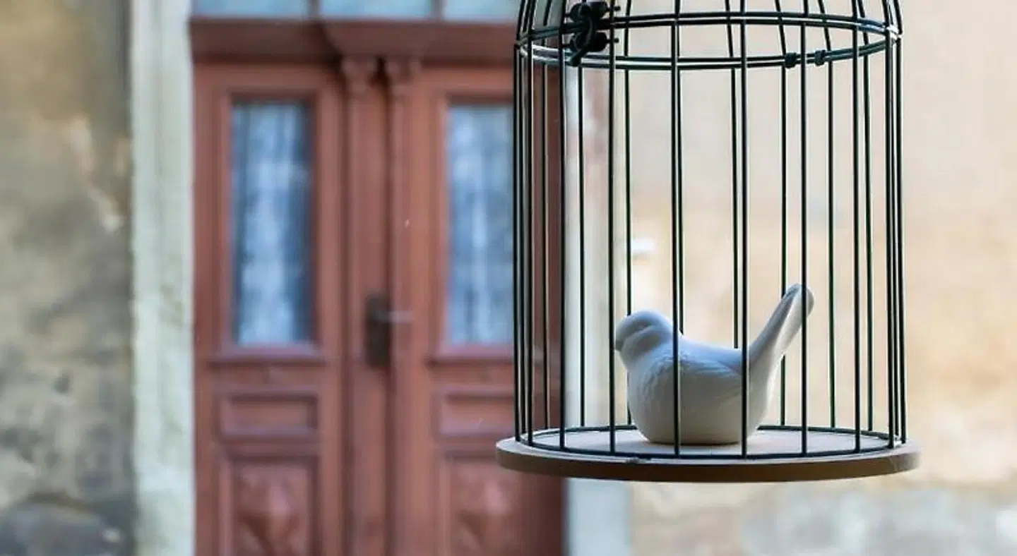 Sachsenhof LOUNGE_LOBBY