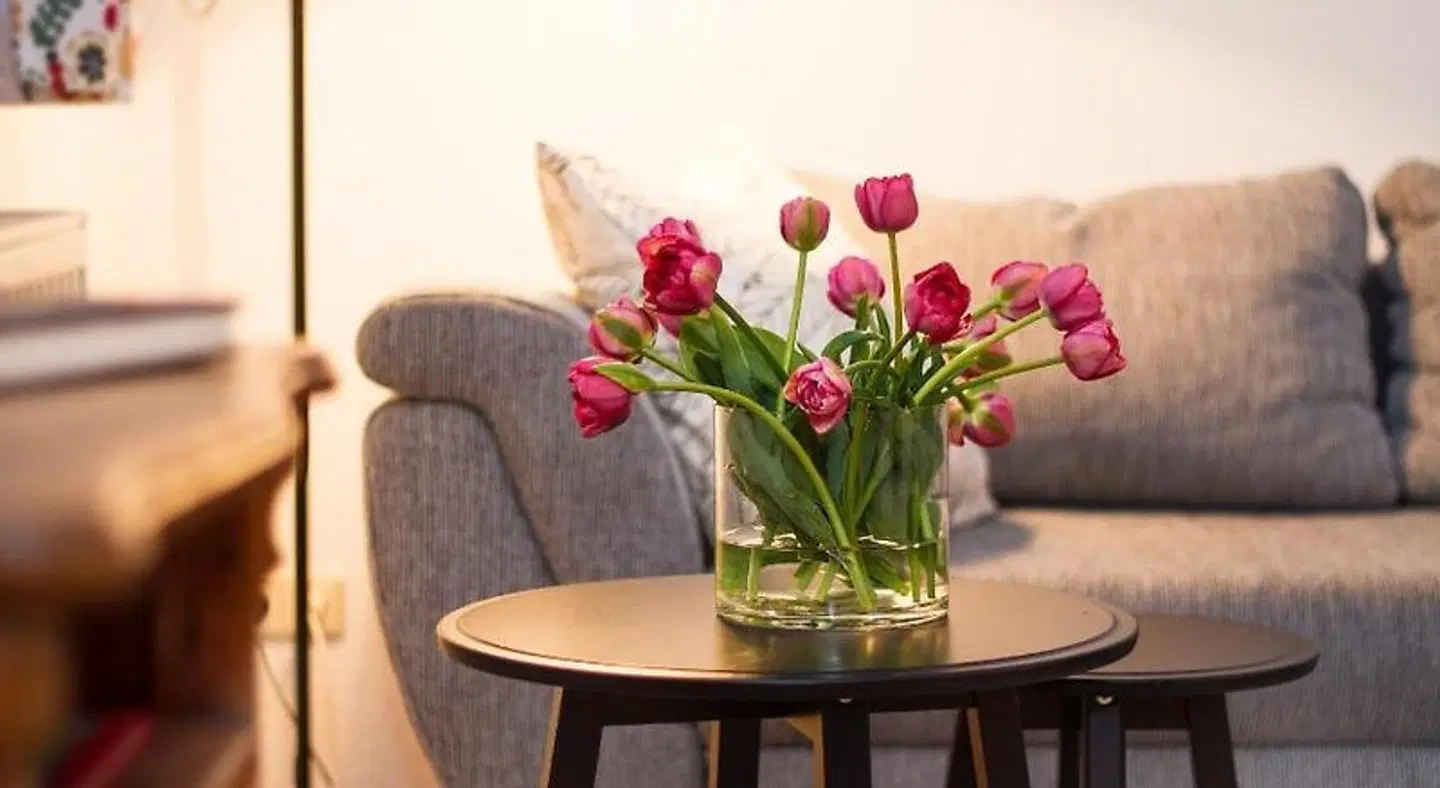 Hotel VielHarmonie LOUNGE_LOBBY