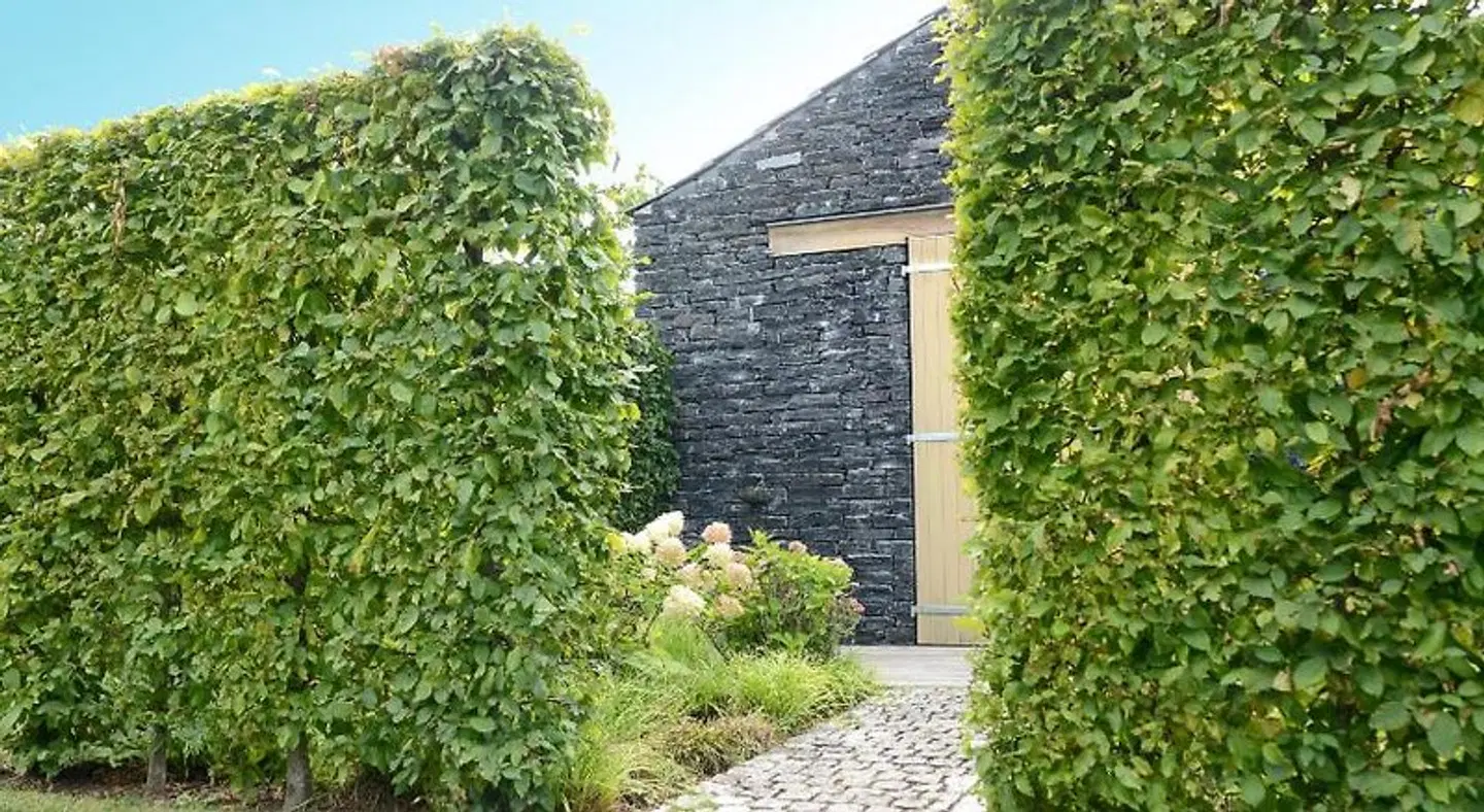 WeinKulturgut Longen-Schlöder EXTERIOR