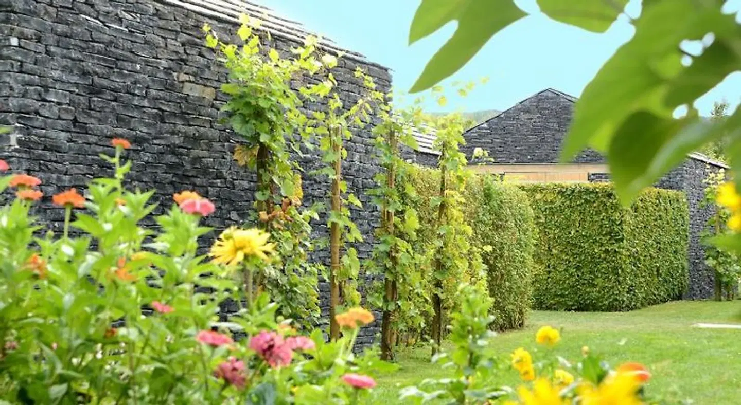 WeinKulturgut Longen-Schlöder Garten