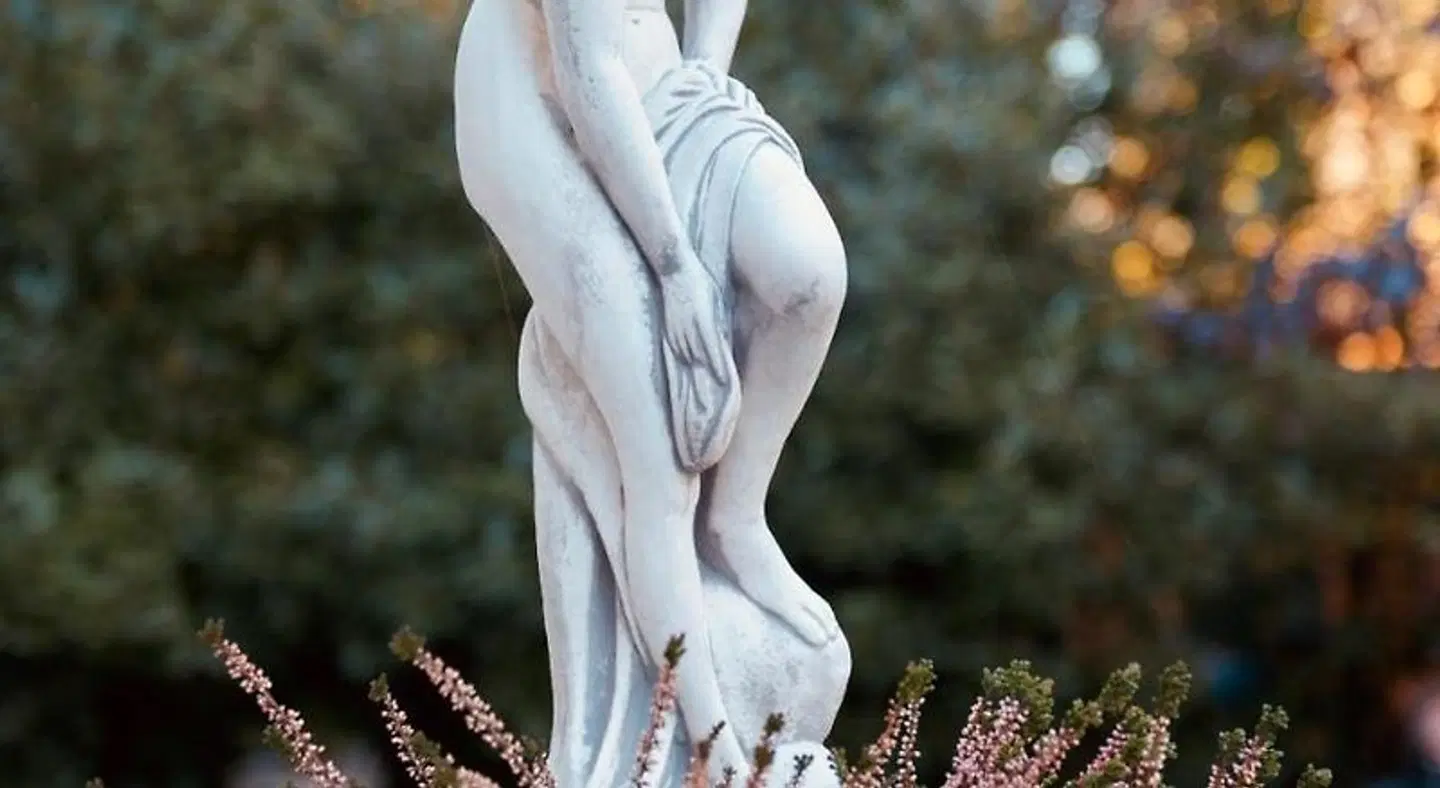 Neuhöfer am Südpark Tiere