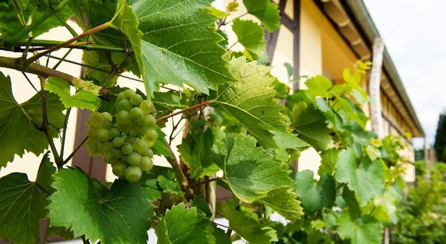 Quartier Rautenstock GbR LANDSCAPE