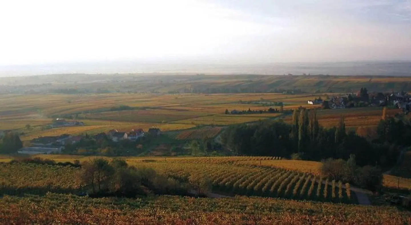 Sankt Annagut LANDSCAPE
