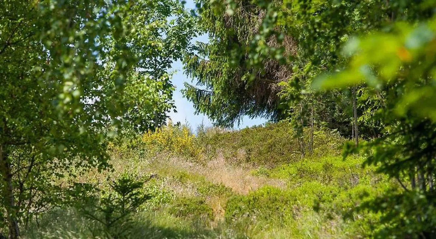 Gasthaus Stollmühle LANDSCAPE