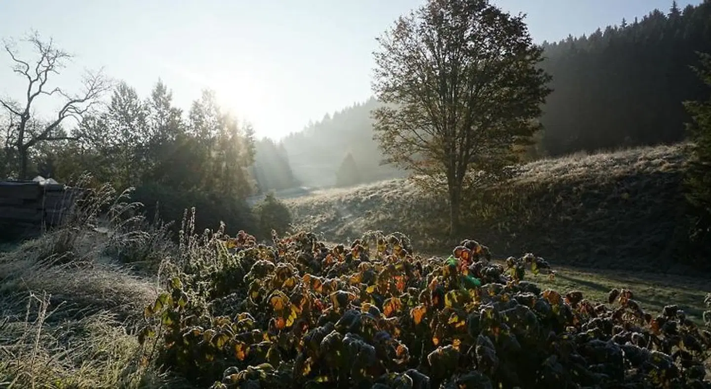Gasthaus Stollmühle LANDSCAPE