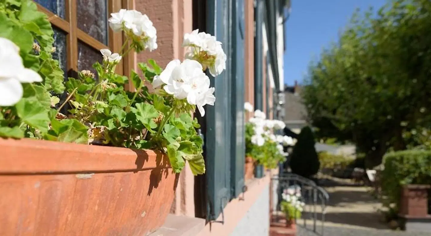 Krone Martinsthal Terrasse