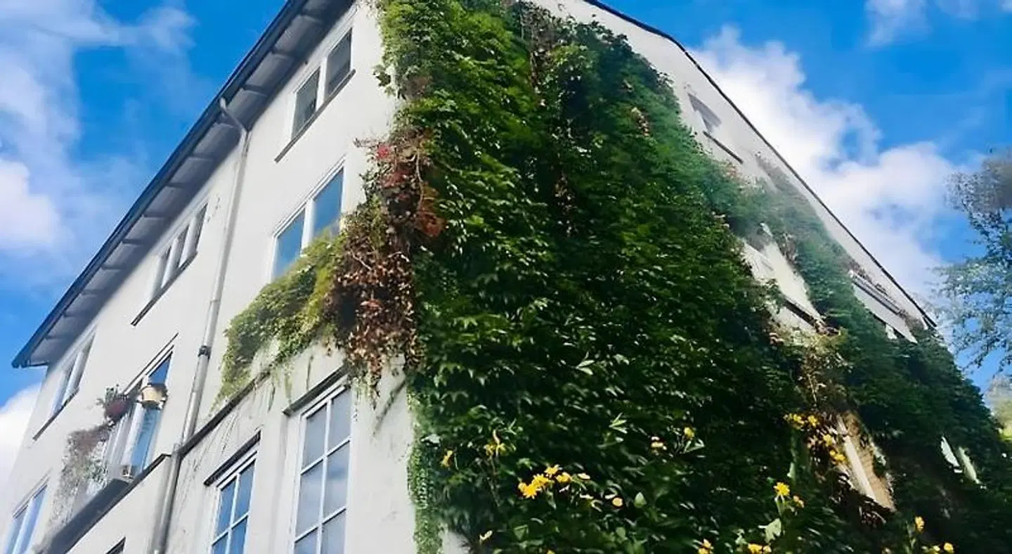 Gästezimmer am Weinberg Kassel EXTERIOR