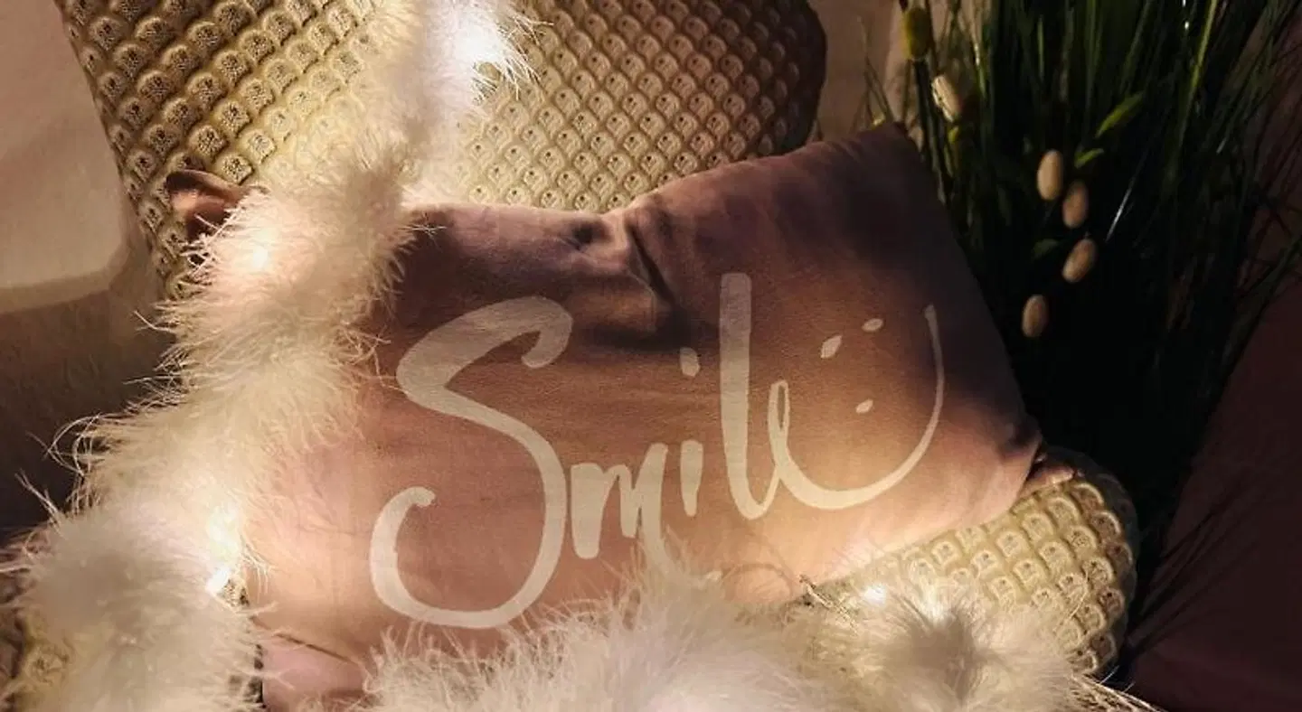 Gästezimmer am Weinberg Kassel HEALTH_BEAUTY