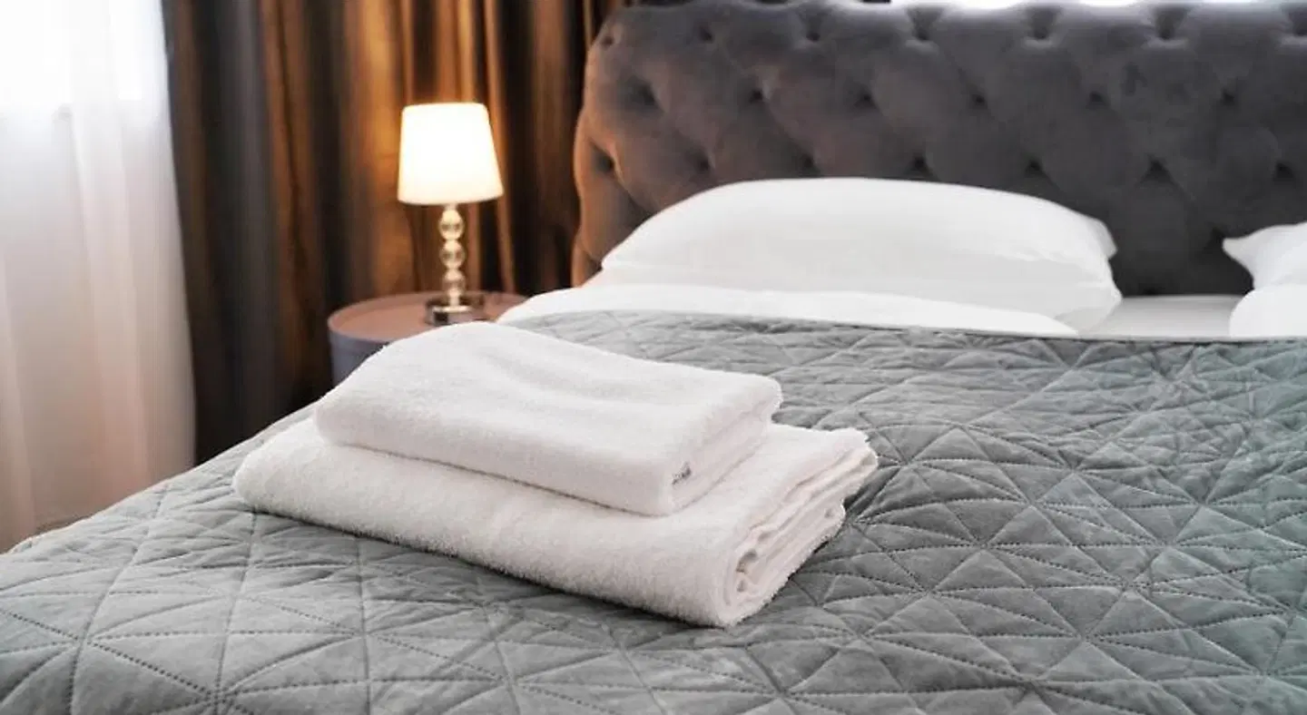 Hotel Elisei ROOM_EXAMPLE