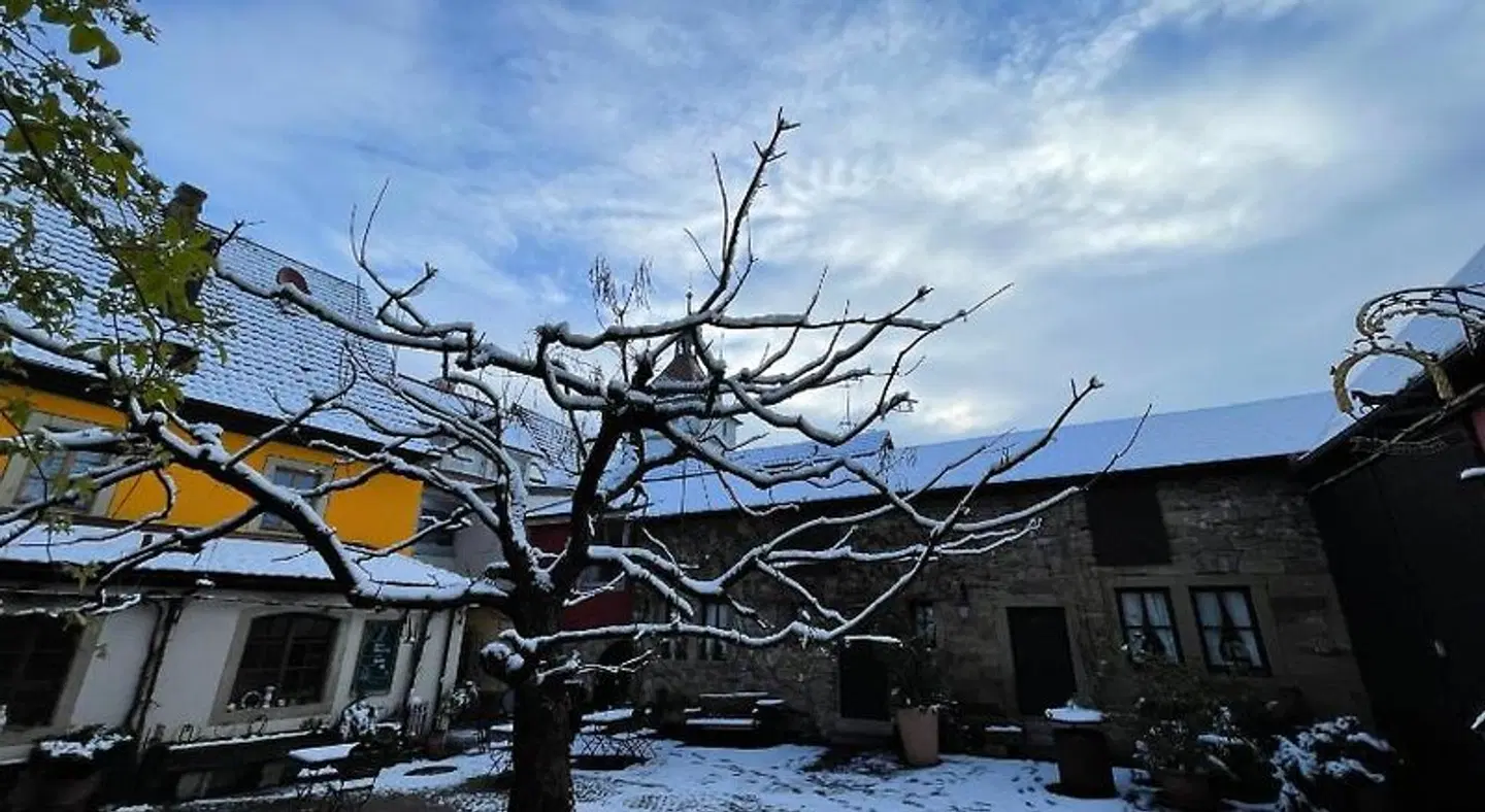 Zum Storch SPORTS_AND_LEISURE