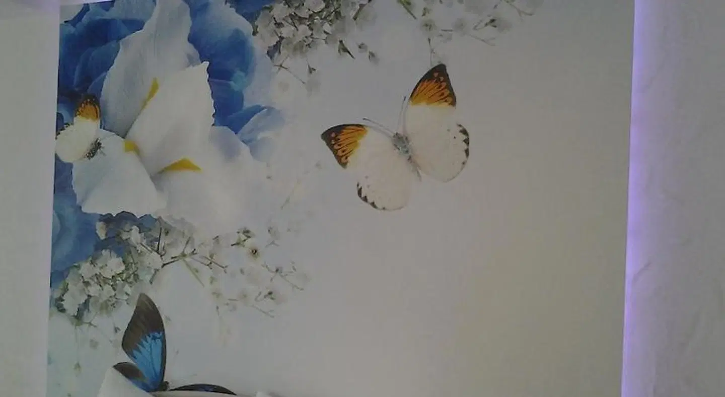 Wachsenberg HEALTH_BEAUTY