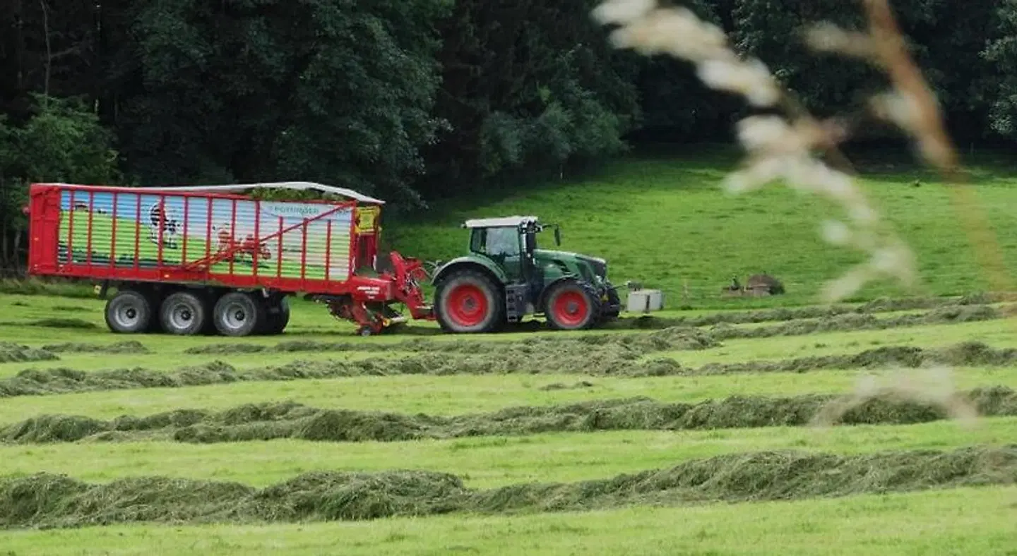 Goldene Traube SPORTS_AND_LEISURE