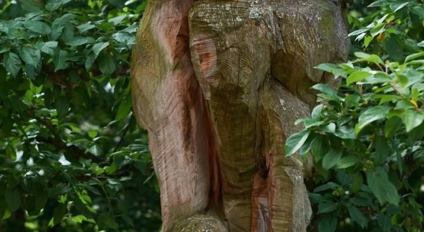 Goldene Traube Tiere