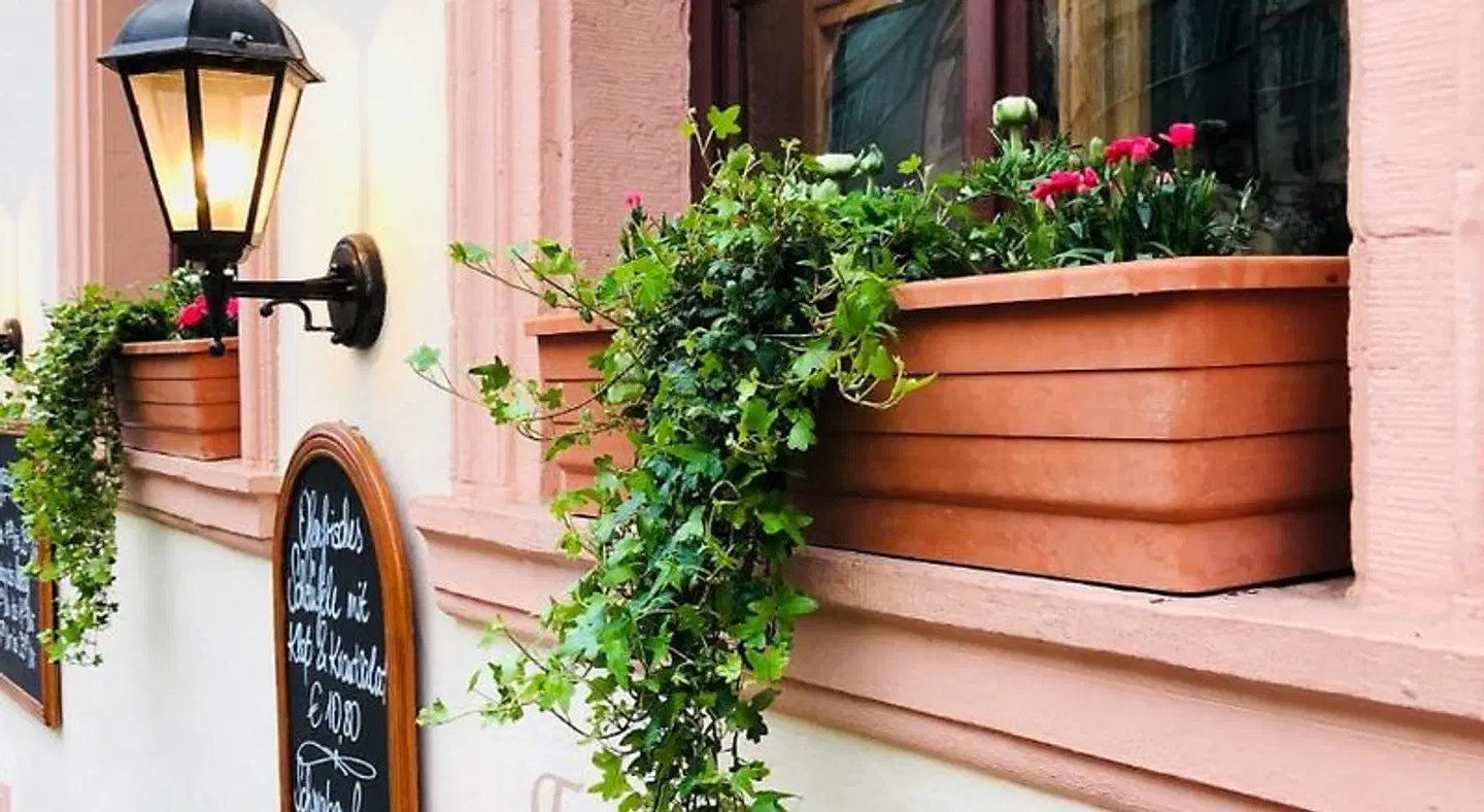 Zum Fehmelbauer Terrasse
