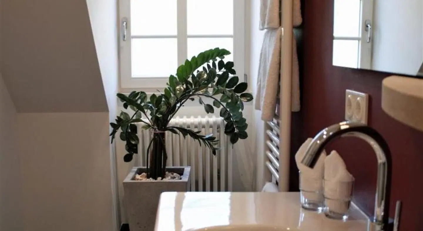 Hotel Residenz im Schloss Neuweier Restaurant