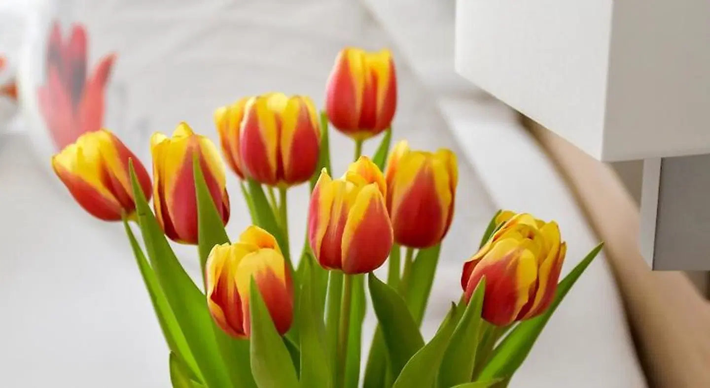 Gasthof Krone Hotel & Restaurant Restaurant