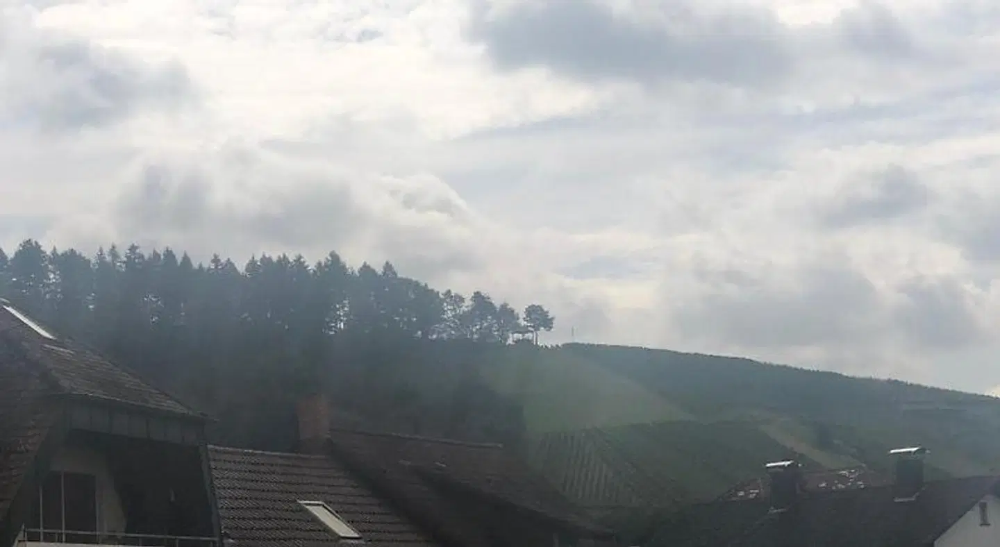 Linde Oberachern LANDSCAPE